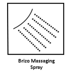 Brizo-Massaging Spray